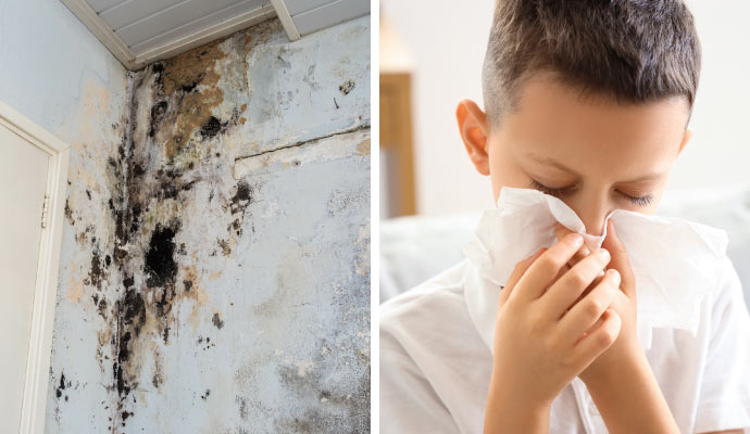 Collage of wall mold and a boy suffering from allergies