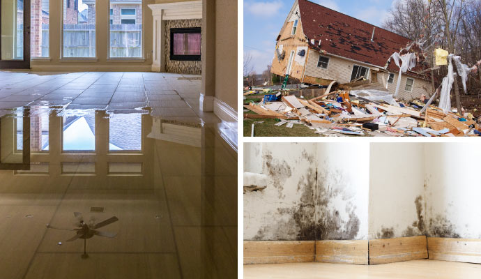 collage of water, storm, and mold damaged property