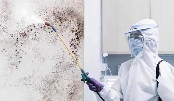 Mold Decontamination in Livonia, & Farmington Hills, MI