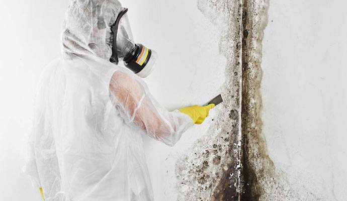 person cleaning mold with equipment