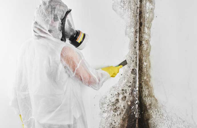 Mold removing using an equipment