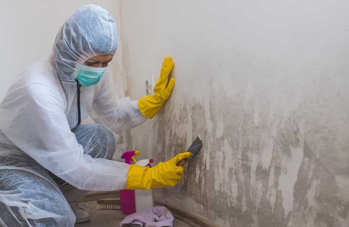 A professional with safety gear, removing mold from a surface