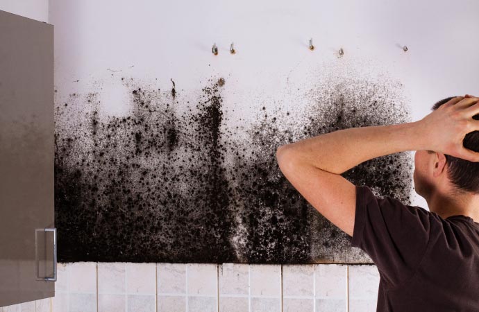 a frustrated person looking at black visible mold