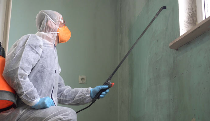 professional worker using a sprayer to remove mold