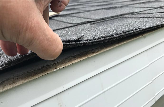 roof leakage inspection
