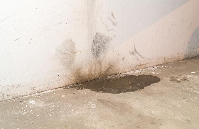 signs of hidden sewage leak