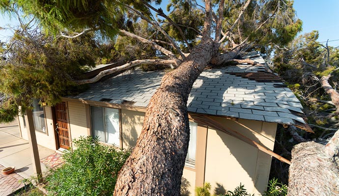 A fallen tree branch crushes the house roof