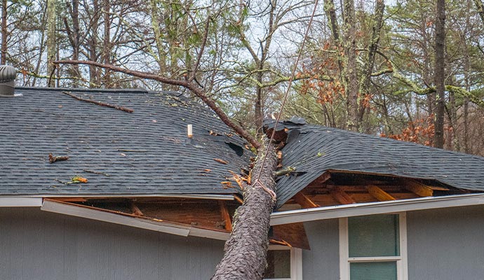 Tree collapse onto the house roof