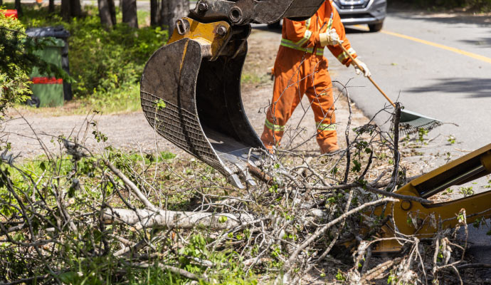 Worker using an excavator to clear fallen tree