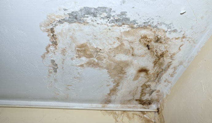 ceiling with extensive water damage and mold