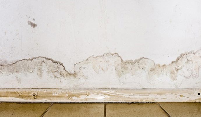 mold infestation caused by water damage