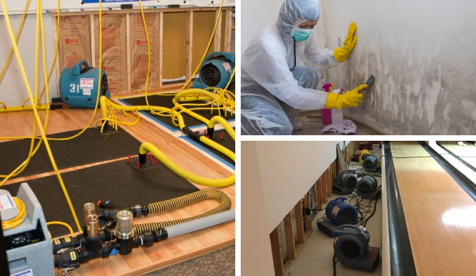 Collage of mold and water damage restoration equipment