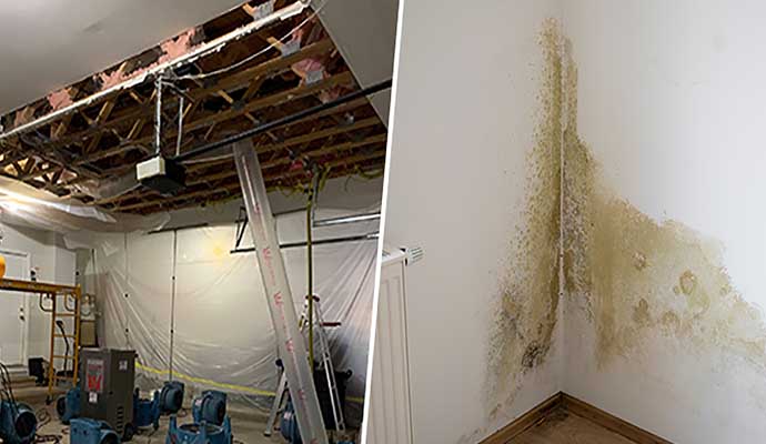 Collage of water damage walls and ceilings