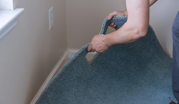 Professional team handling carpet replacement.