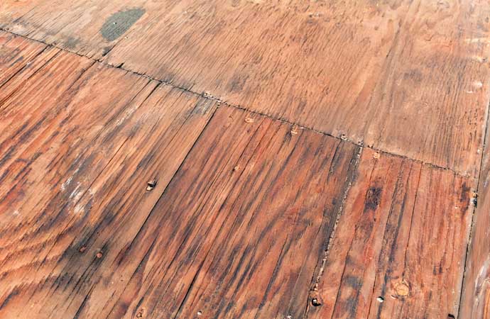 Visible mold on the wooden floor