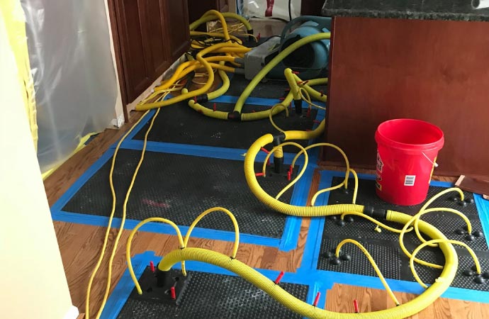 water removal using professional equipments